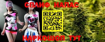 дживик Новозыбков