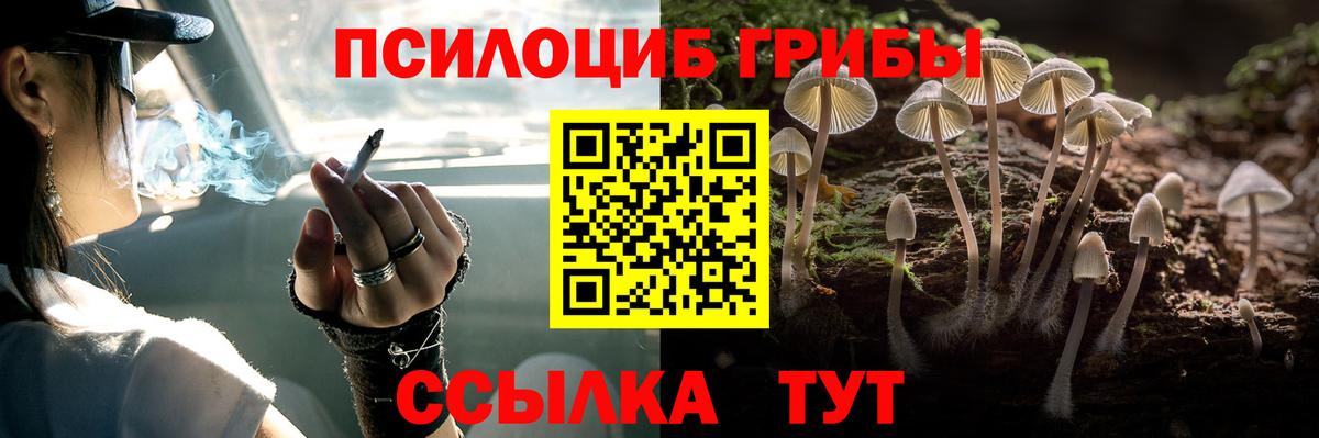как найти   Вход с VPN  Тайшет  Псилоцибиновые грибы мухоморы 